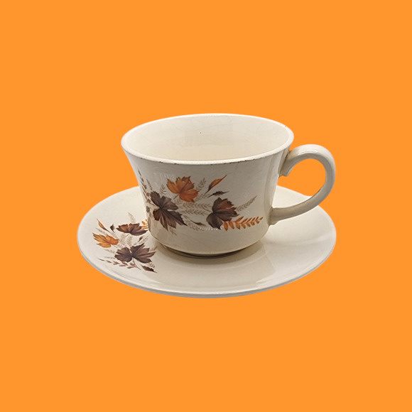 Vintage Indian Summer Teacup & Saucer Set Brown & Orange Leaves Rare - Picture 1 of 6